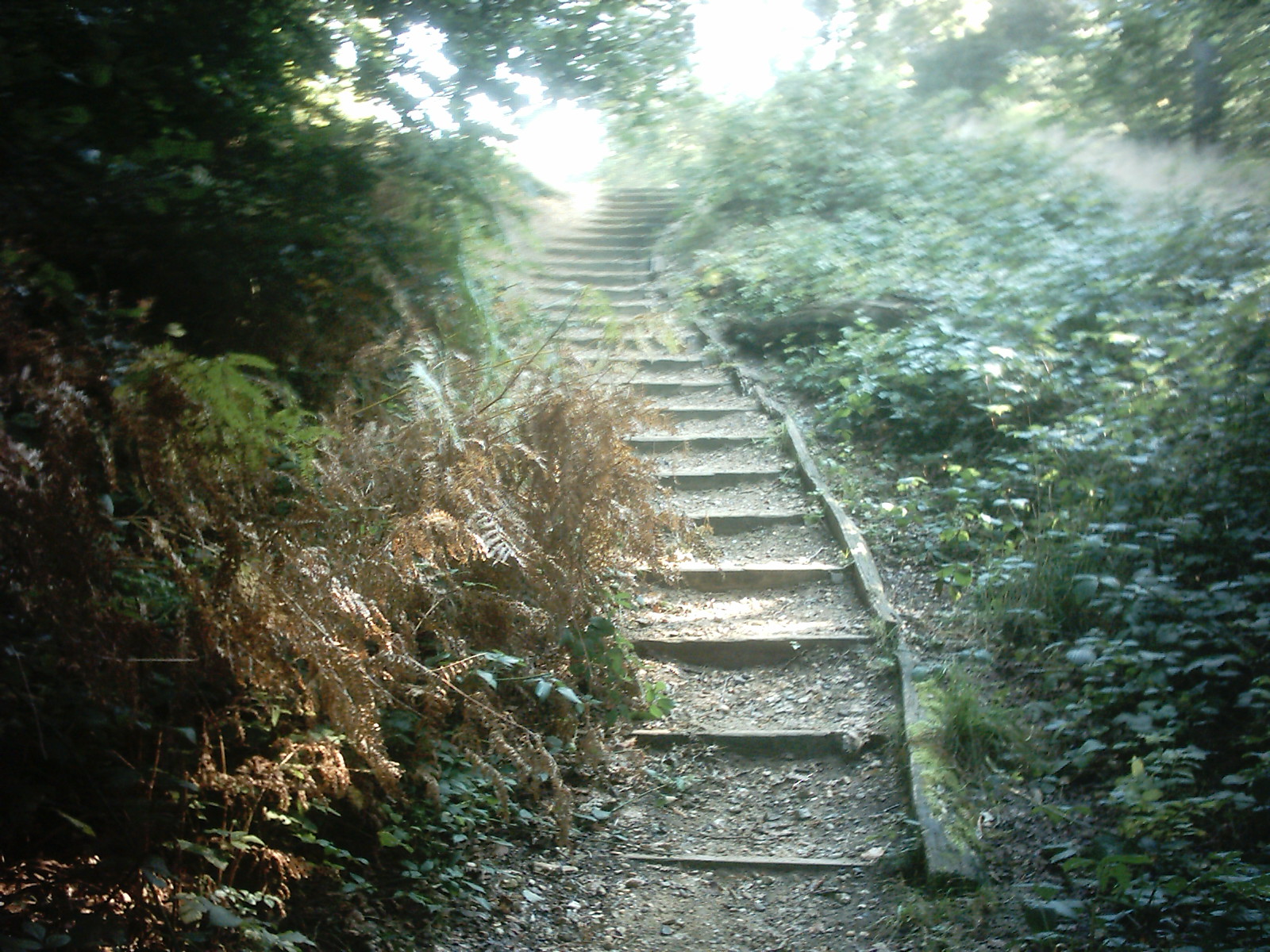 millennium_steps